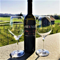 POSESTVO STEYER